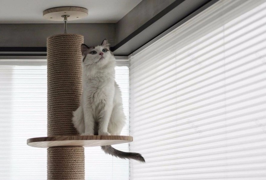 黑白灰丨简约的最高级-86