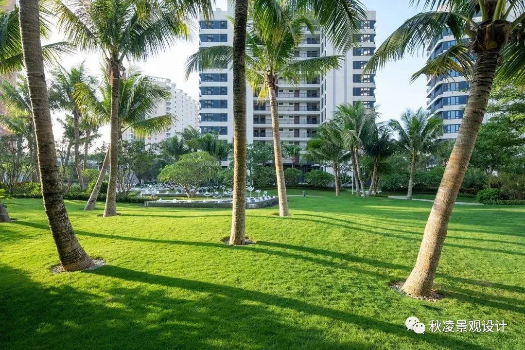 植物景观设计 | 创造优美的园林空间环境-7