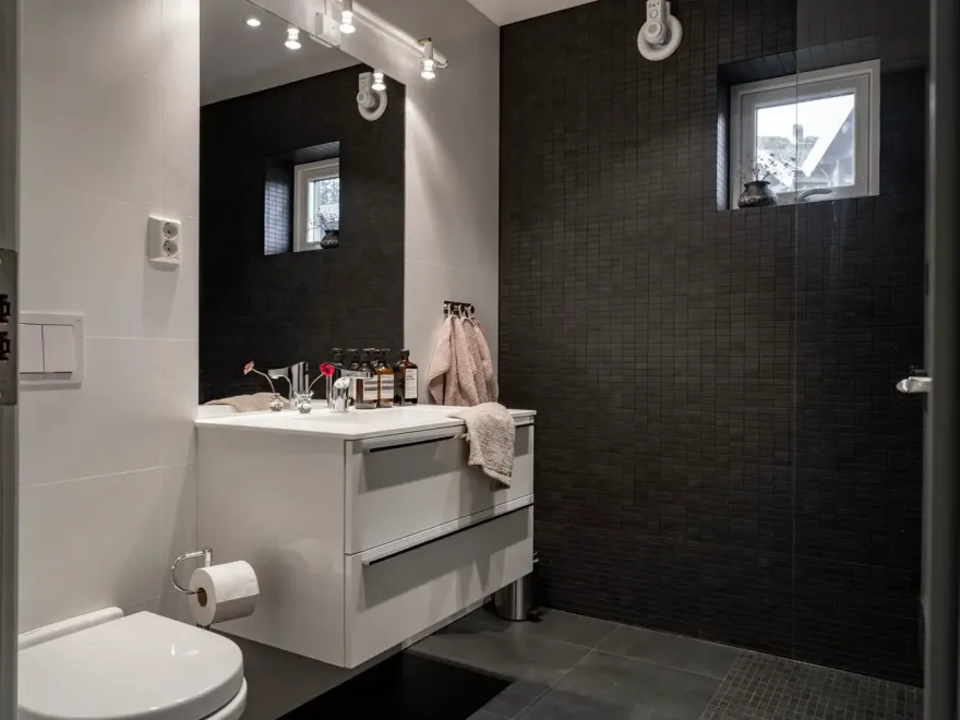 瑞典高山现代暗色调住宅设计-13