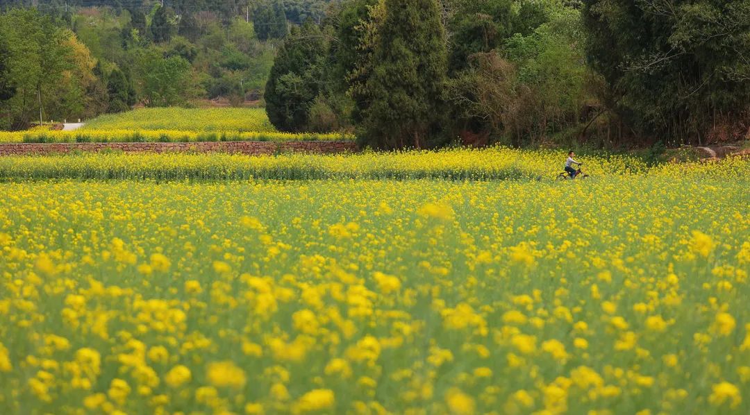 二次激活下的乡村活力复苏·德阳高槐村乡村振兴丨中国德阳丨环球地景设计有限公司-6