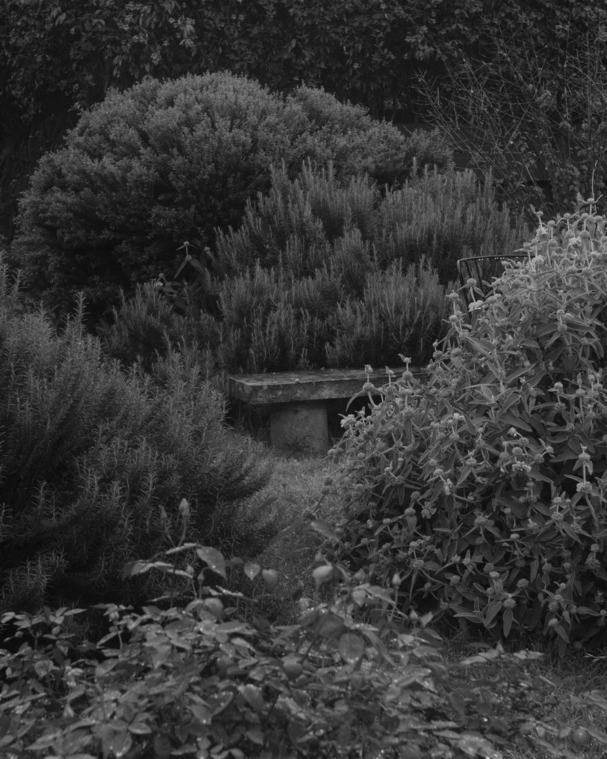 疫情之梦 · 遗忘与记忆的空间-10