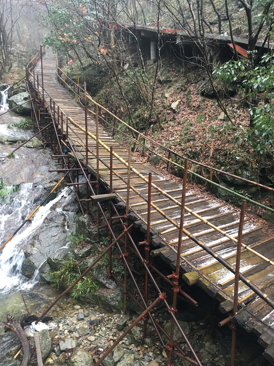 大别山森林徒步道(竹林·大松树段)丨中国安徽丨傅英斌工作室-9