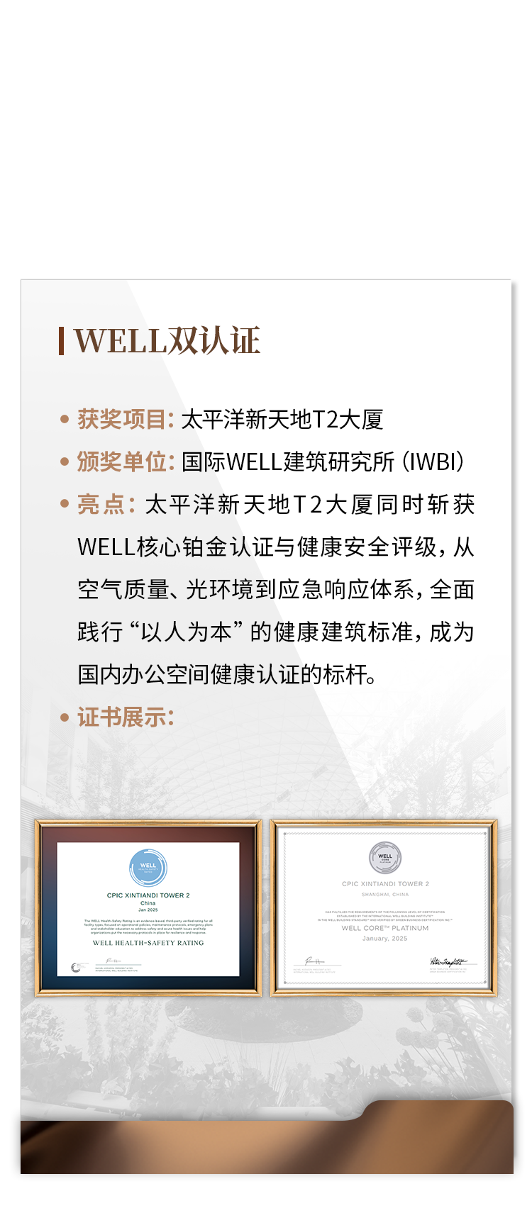 2025上半年瑞安荣耀进阶：多维领跑行业大奖全记录-5