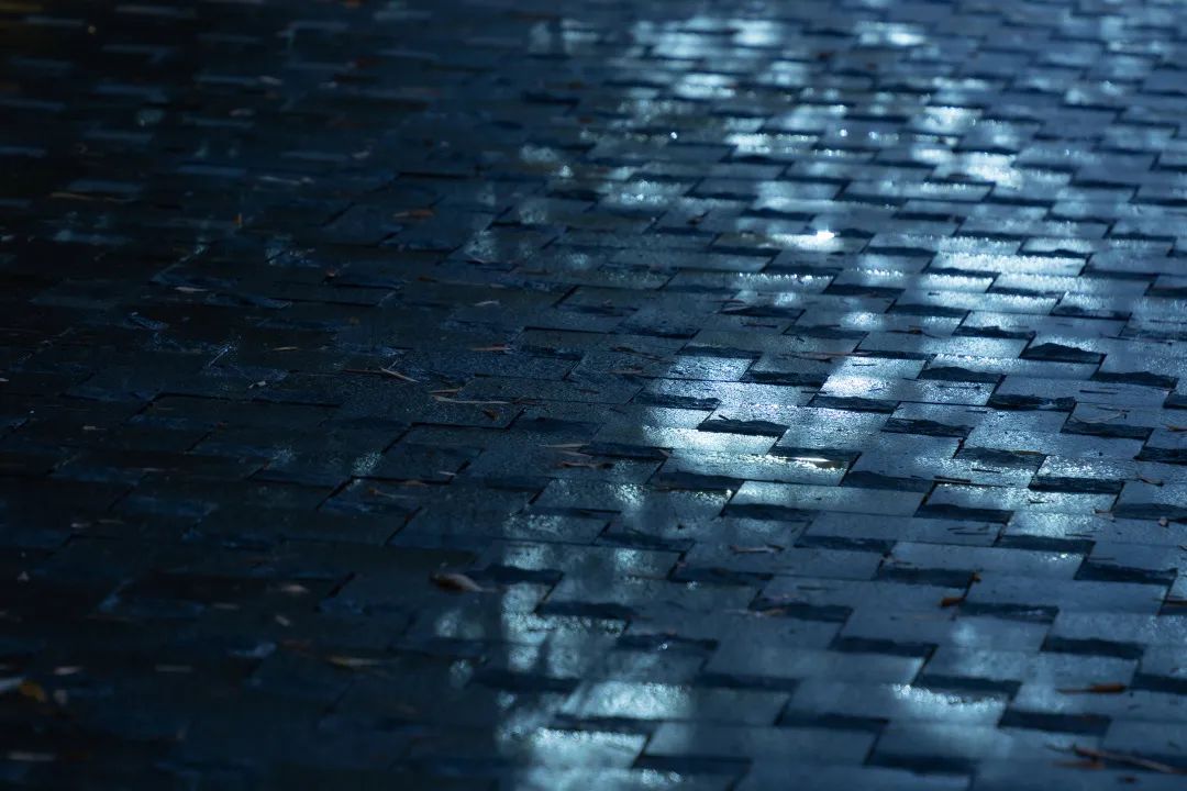 上海浦发仁恒·有园丨中国上海丨上海澜道环境设计咨询有限公司-15