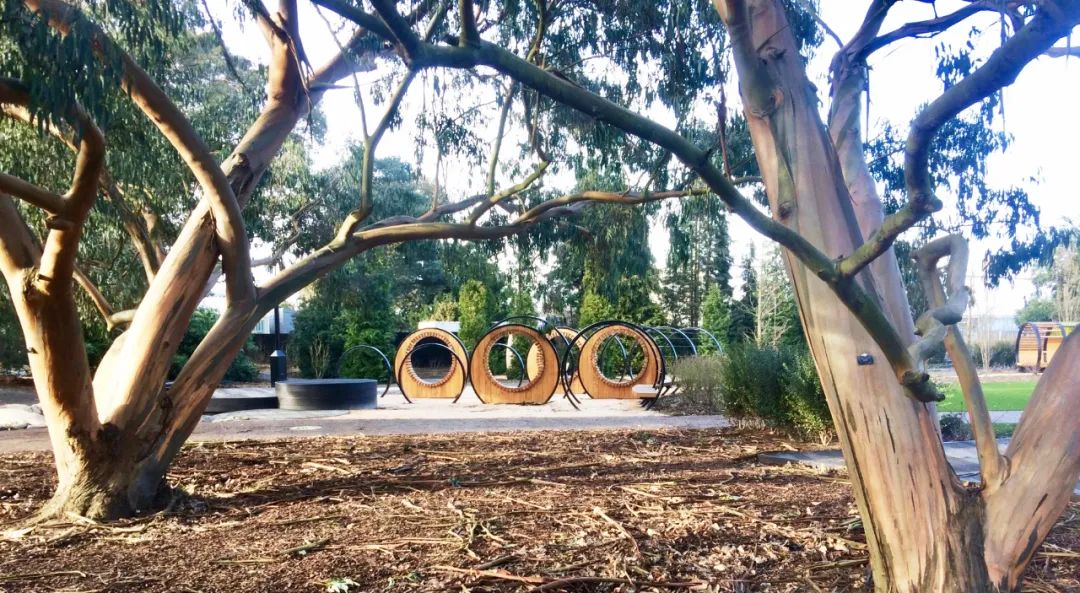 英国皇家植物园儿童花园丨Suzie Jewell-97