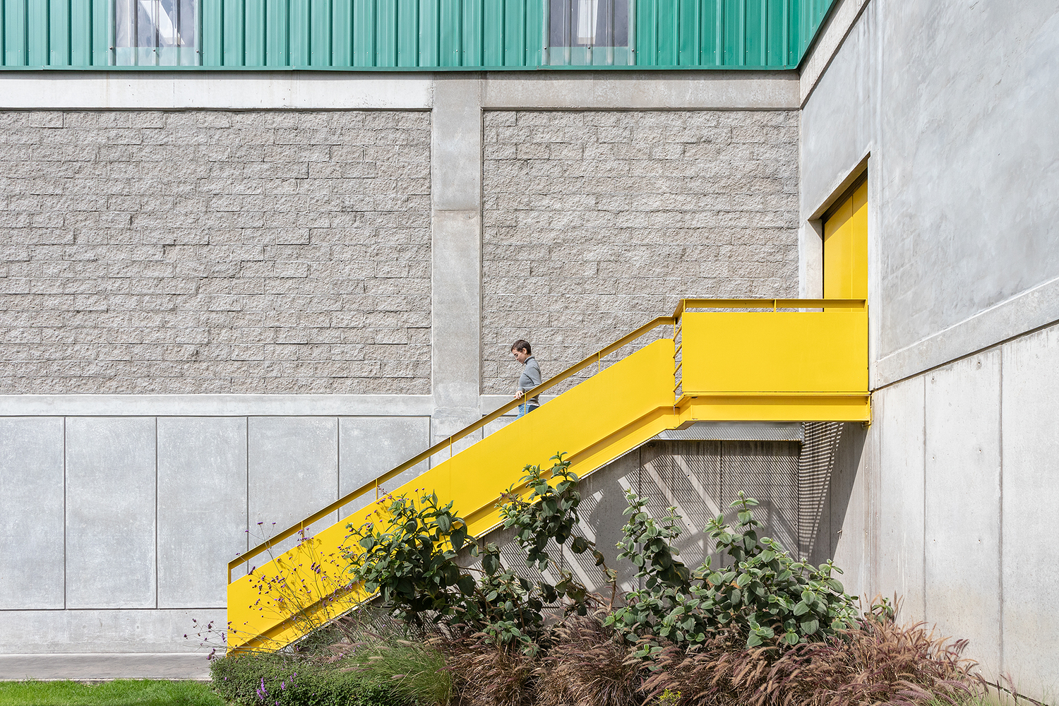 诺沃潘办公室丨厄瓜多尔丨Diez + Muller Arquitectos-49