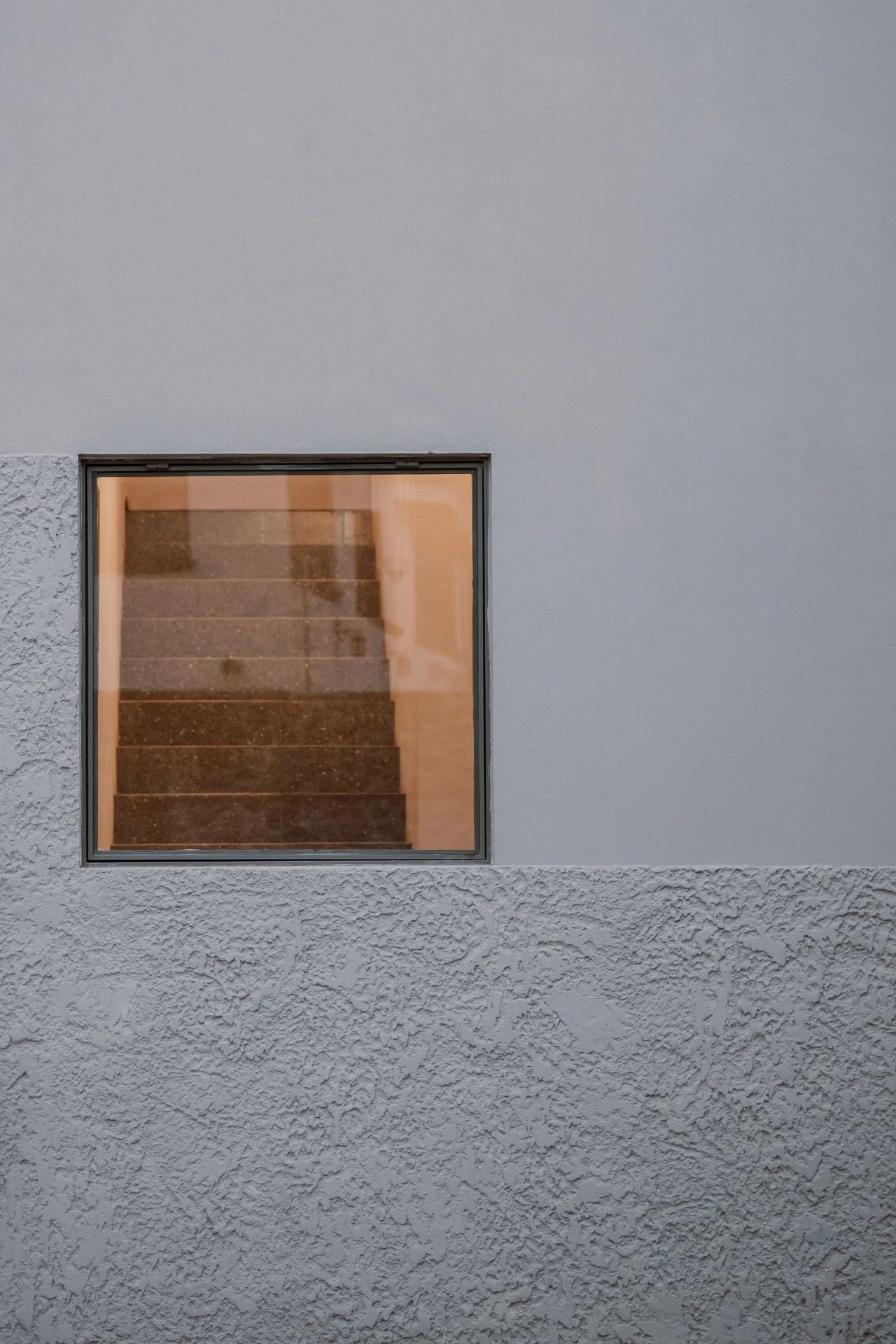 蕨类植物丨墨西哥丨Taller Hector Barroso-36