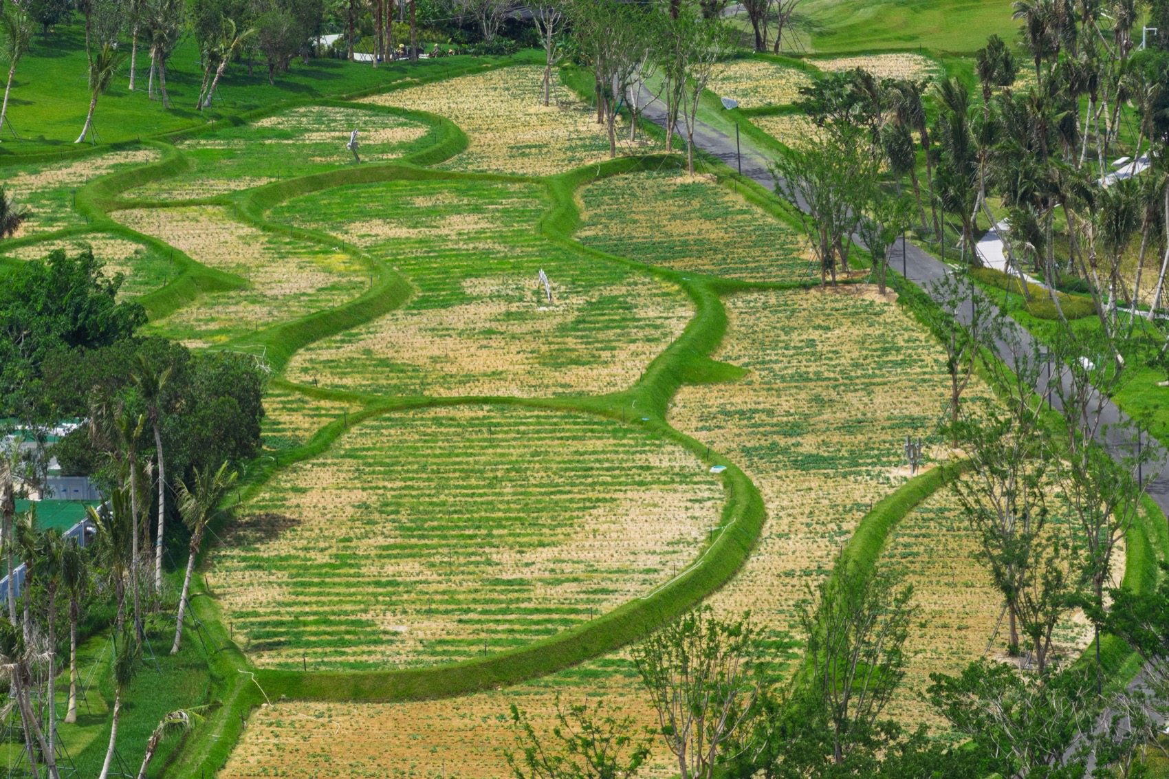 海棠河生态公园二期景观设计丨中国三亚丨LOLA Landscape Architects-65