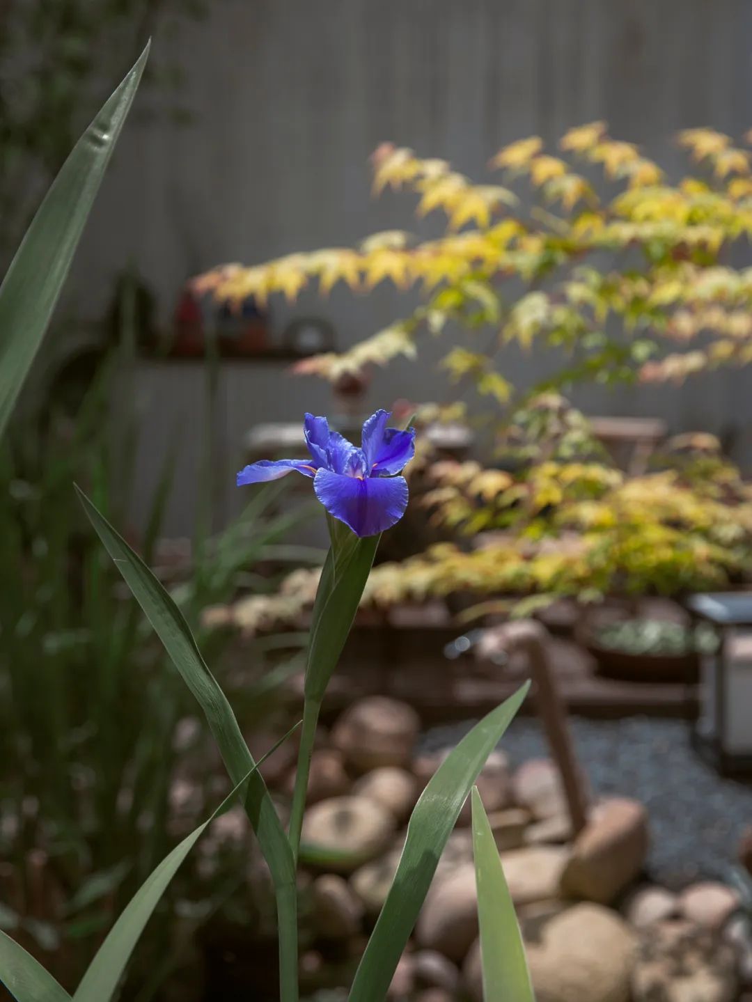 诗意小院设计丨禾景装饰工程有限公司-38
