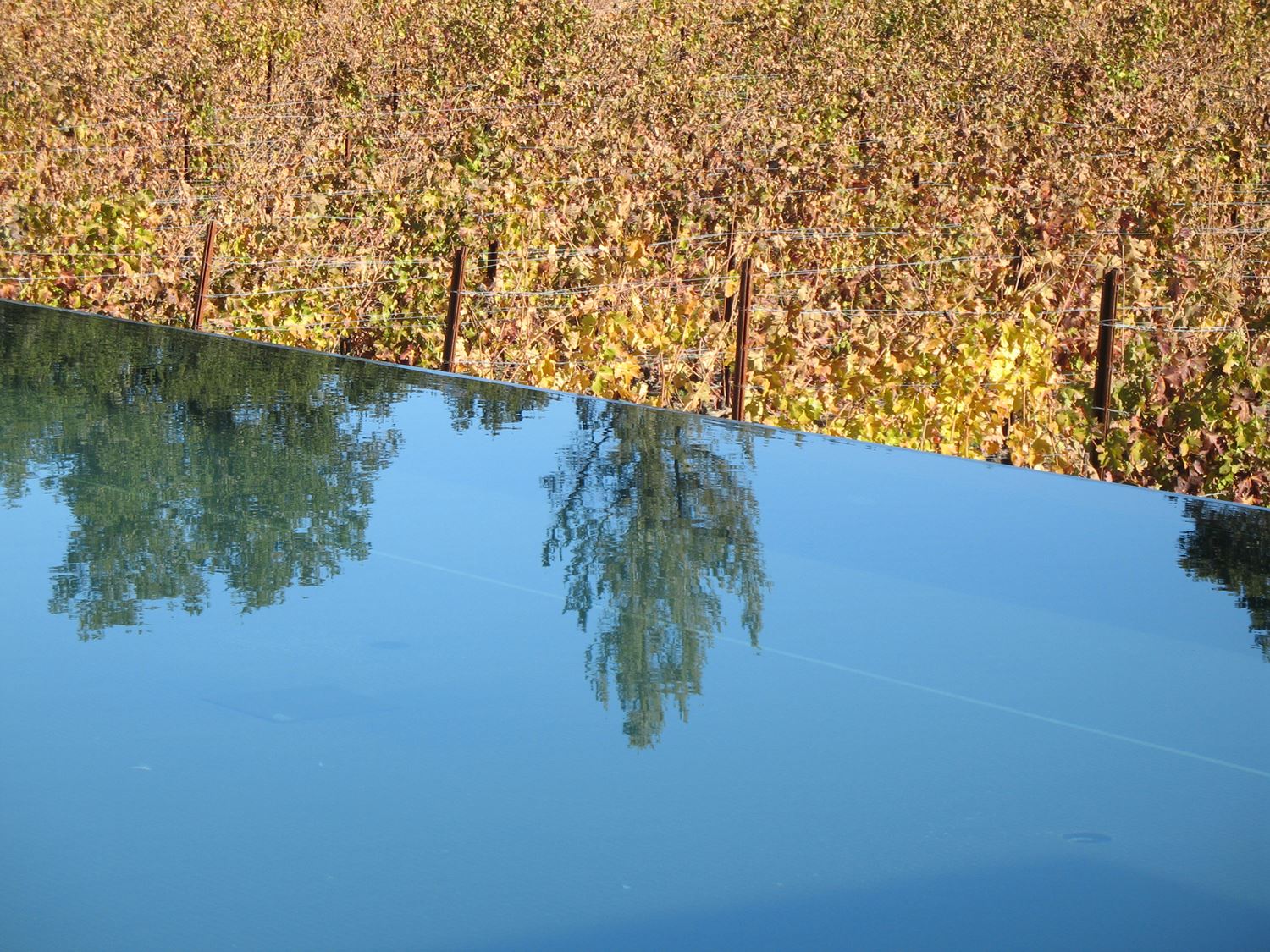 纳帕谷“池·亭·林”葡萄园丨美国加利福尼亚丨不详-11