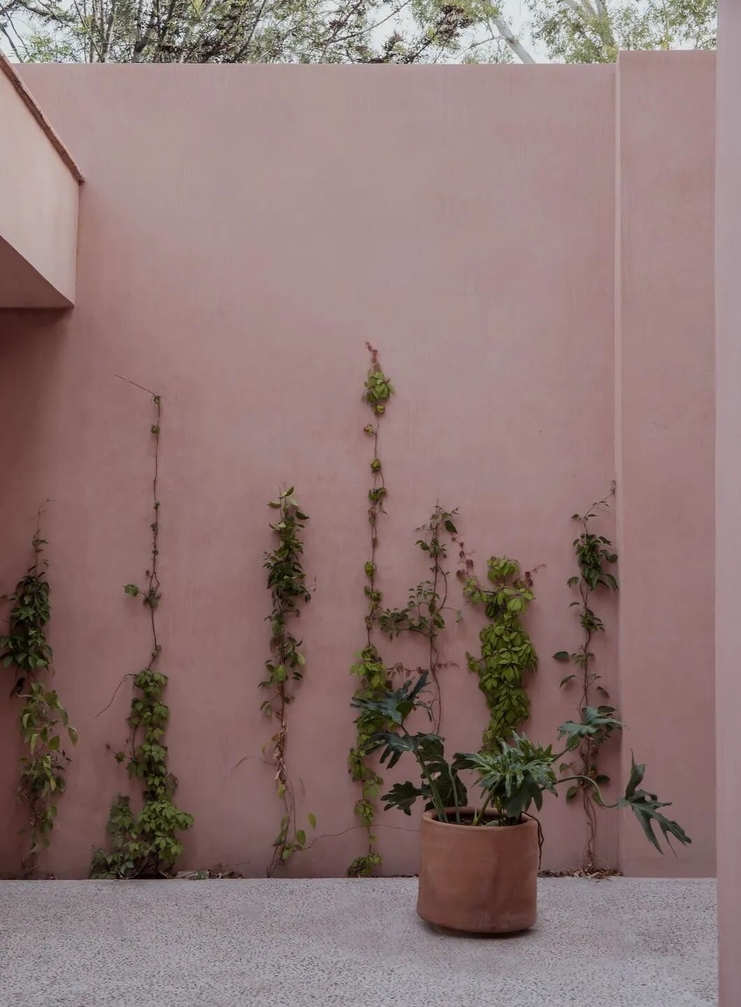 Carretas 别墅，墨西哥克雷塔罗-8