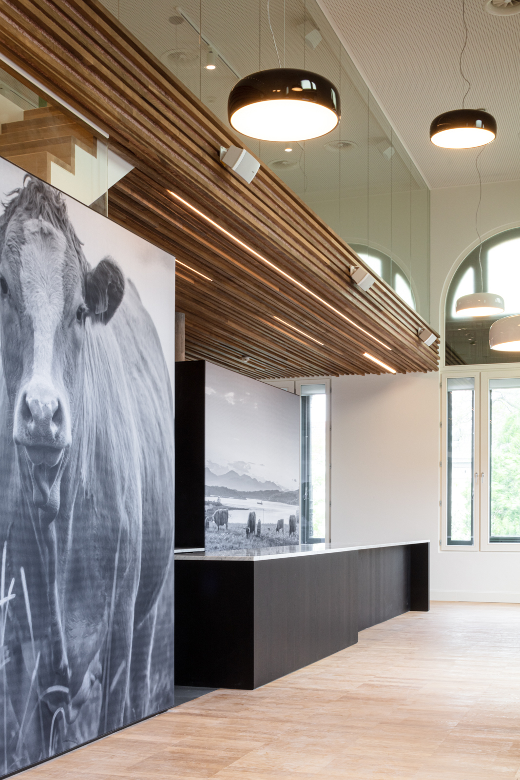 Anderlecht 兽医学校改造丨比利时丨HASA Architecten-21