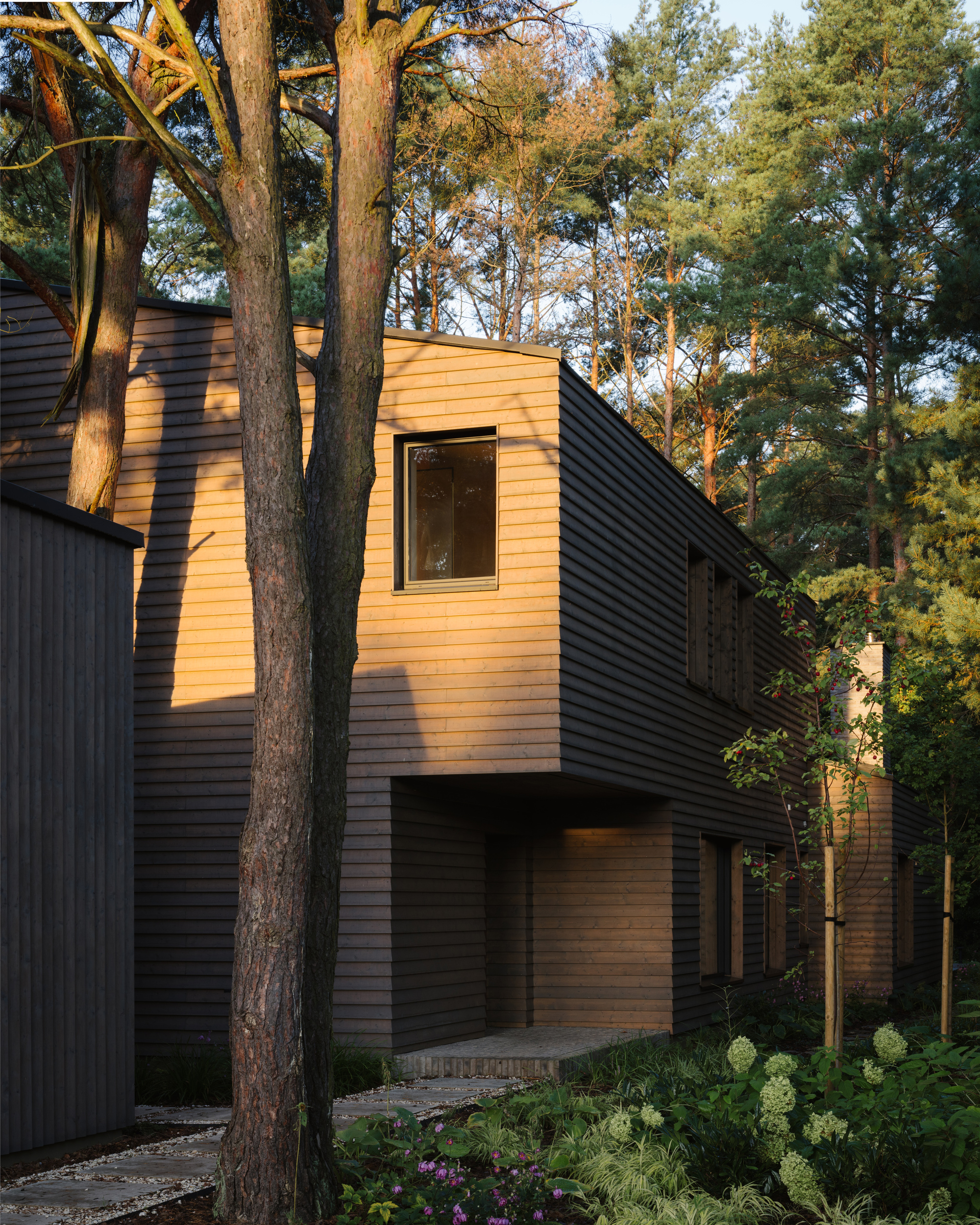 Residence on the Edge of National Forest / Studio GAB-9