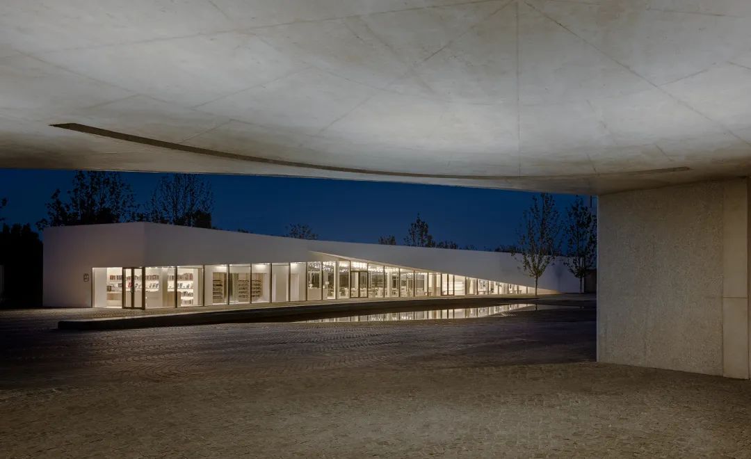 海边的两块石头-22