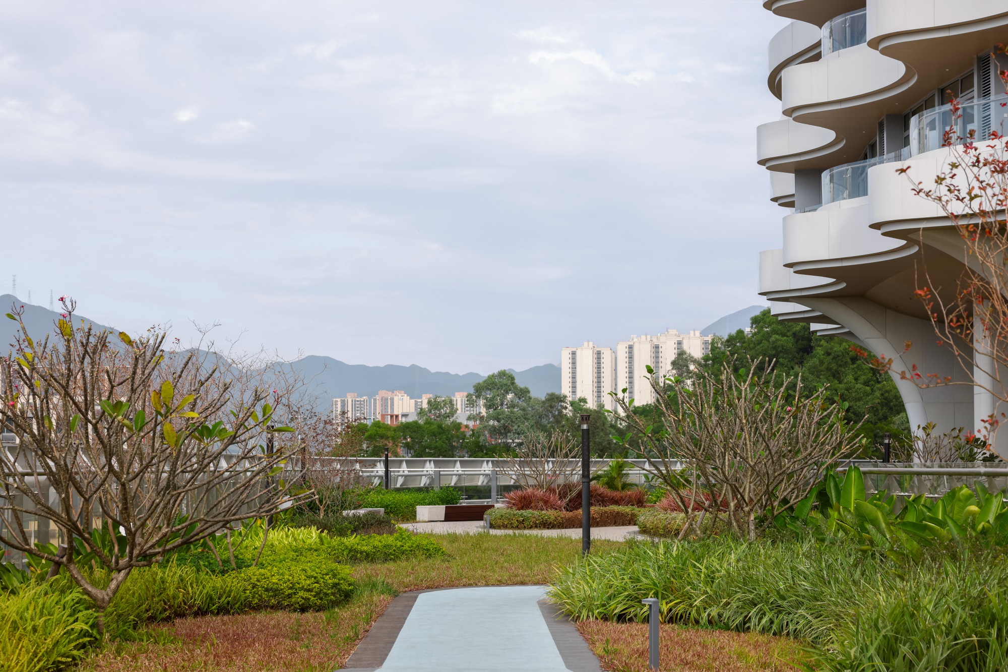 深圳市第二人民医院大鹏医院丨中国深圳丨景观设计为深圳市希尔景观设计有限公司等多家-83