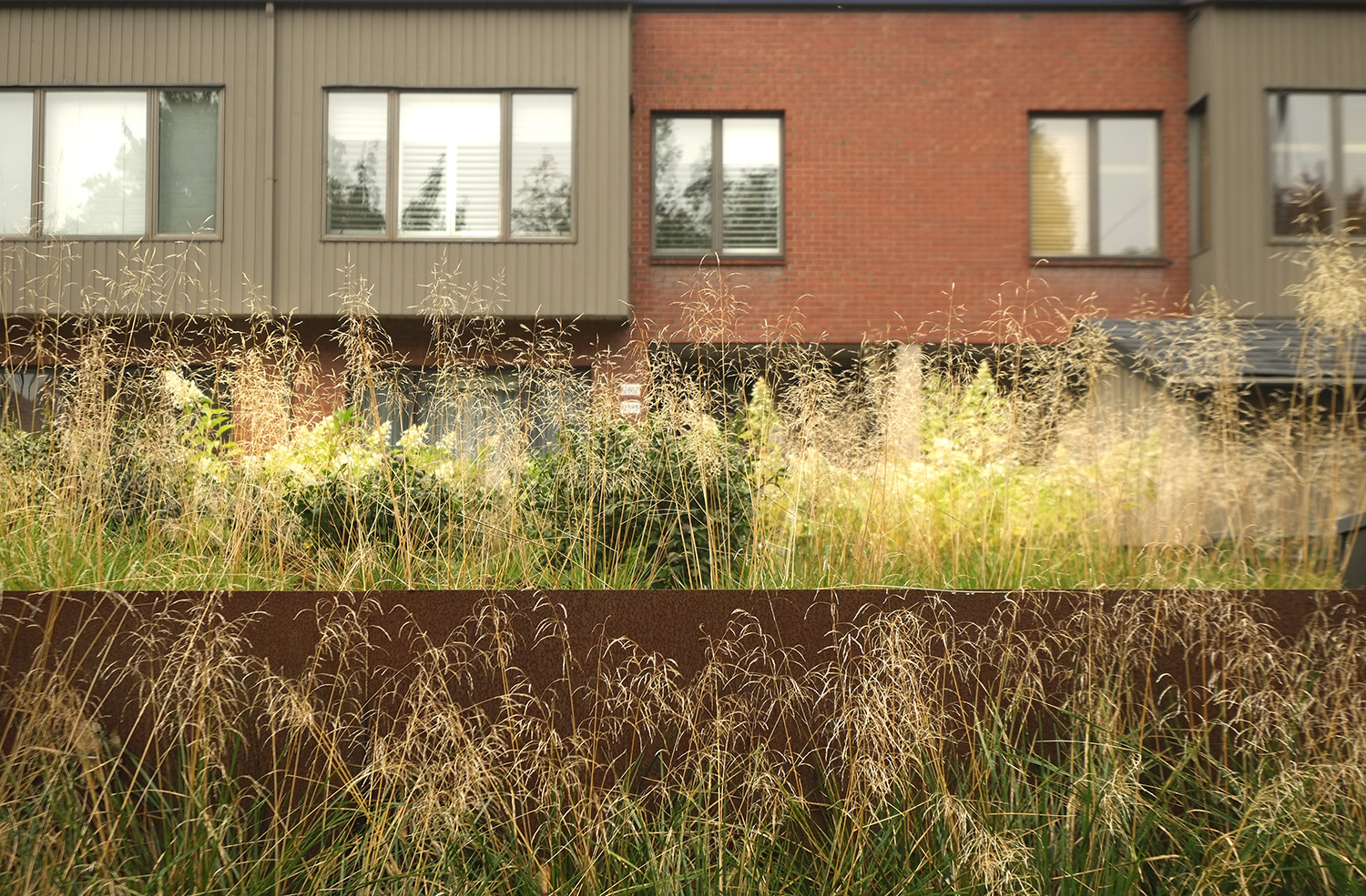 Toiture végétalisée Rivoli | rose architecture-7