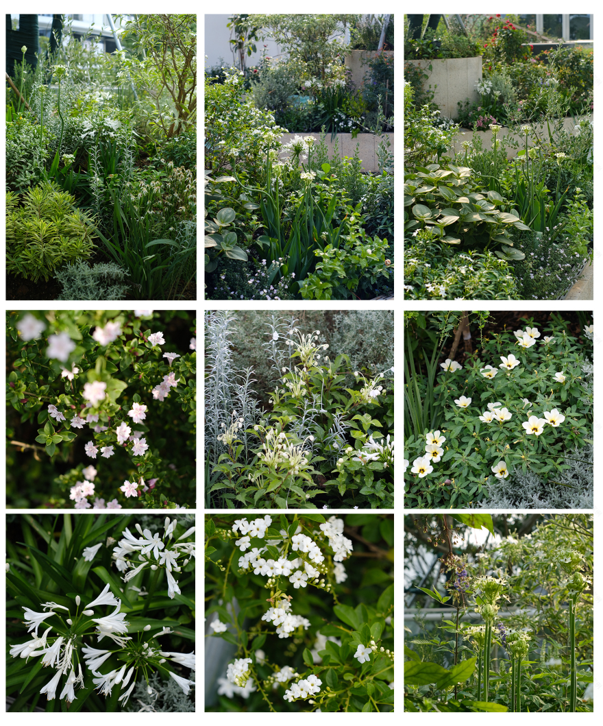 广州·鹏瑞1号景观花园营造丨中国广州丨广亩景观-85