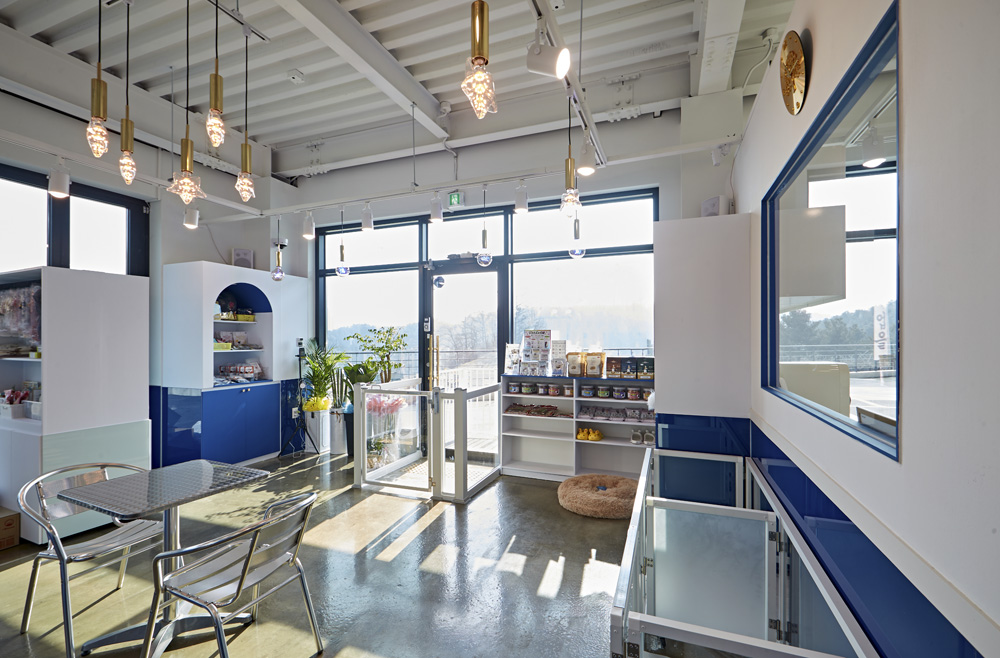 室内装饰的极致展现-7