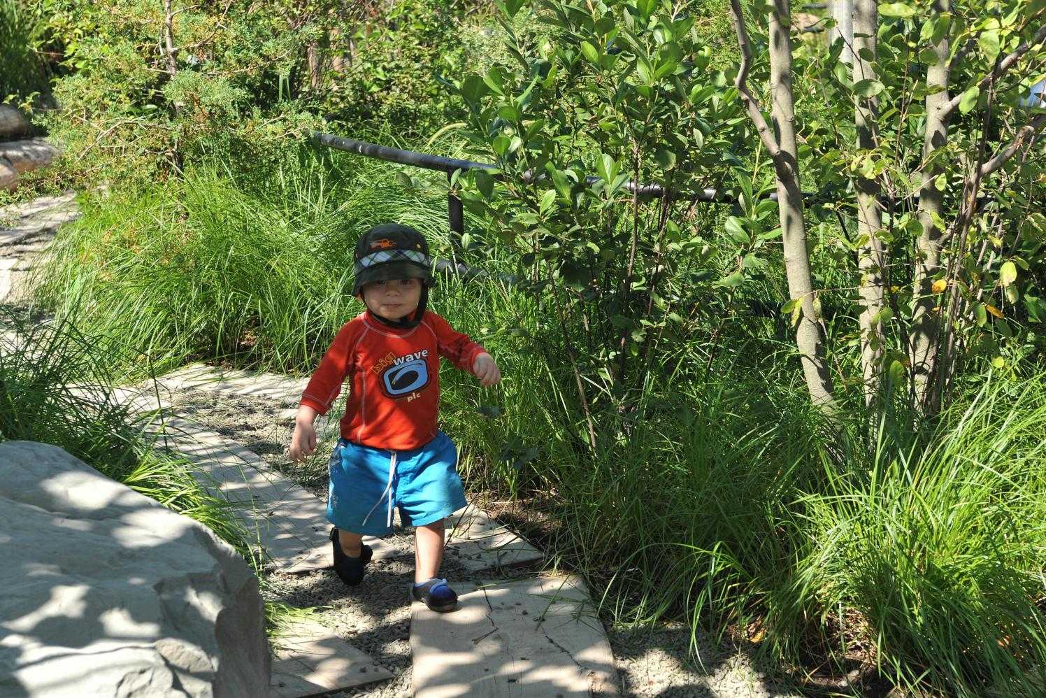 布鲁克林大桥公园儿童空间丨美国纽约丨北卡罗来纳州立大学自然学习计划,MVVA,Inc.-19