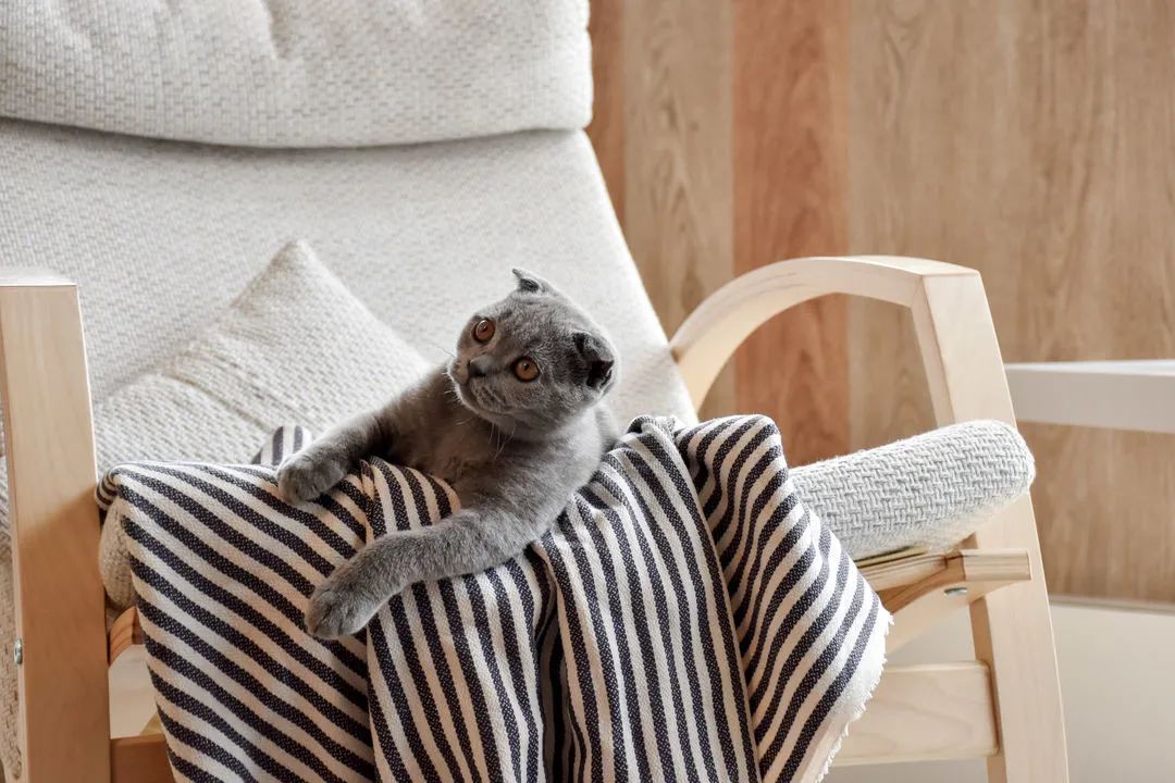 62㎡小家应有尽有，布置得井井有条-3