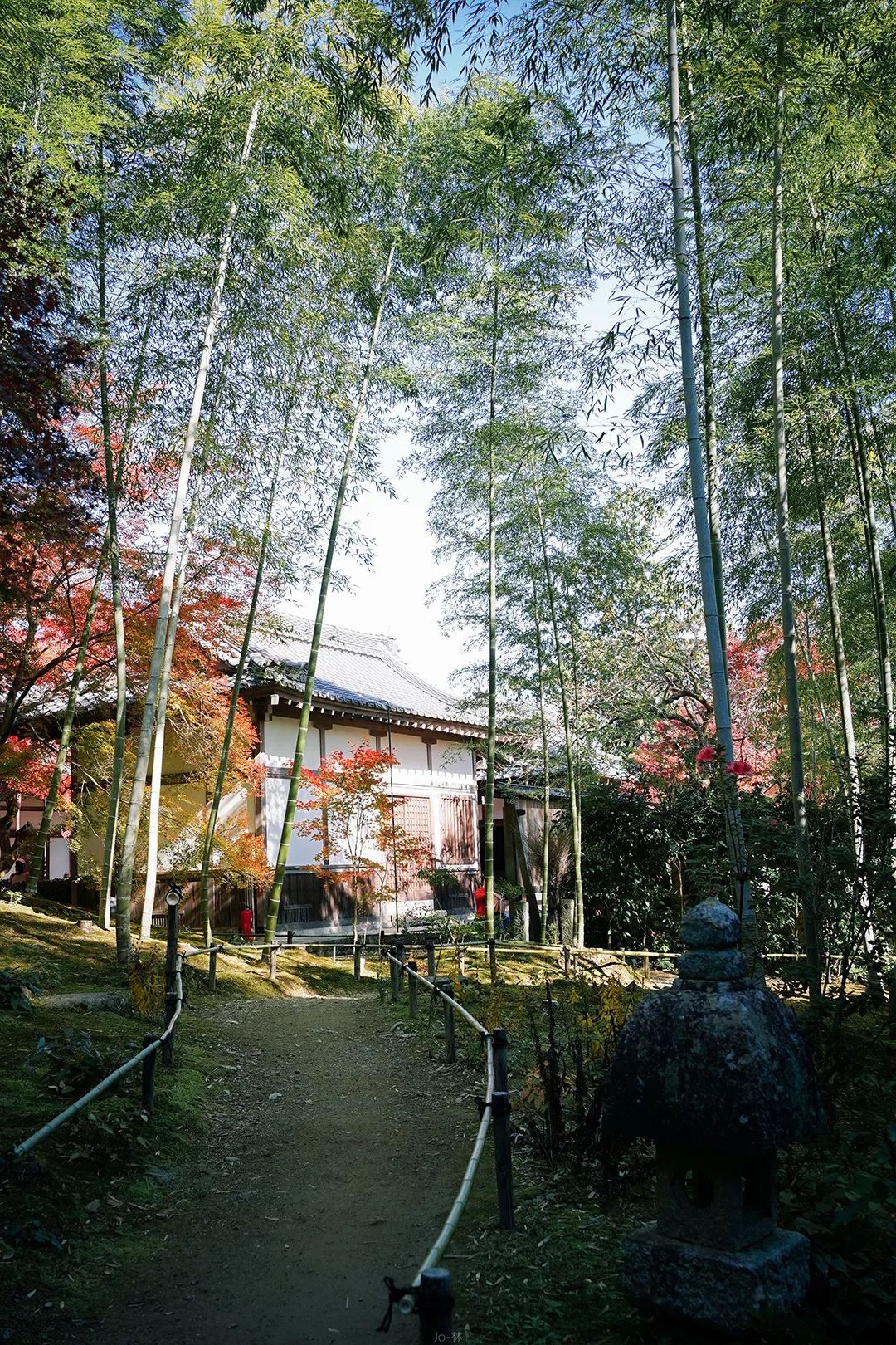 日本关西枫季 | 传统与现代的完美融合-91