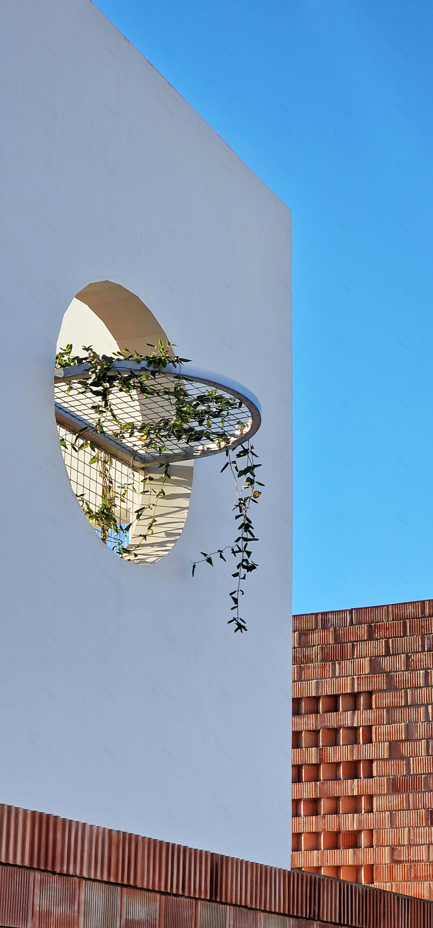 自由之家丨西班牙丨GRAO-46