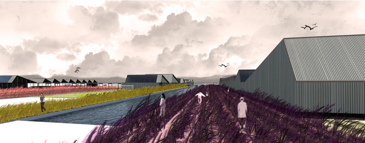 Colegio Agrario Cholchol（科尔乔尔农业学校）丨智利丨Universidad San Sebastián（圣塞瓦斯蒂安大学）-18