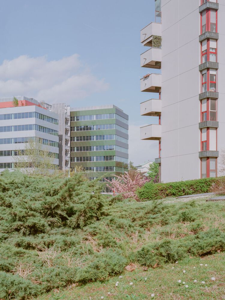 赞比亚 Segreen Business Park 商业园区丨Studio Elementare-23