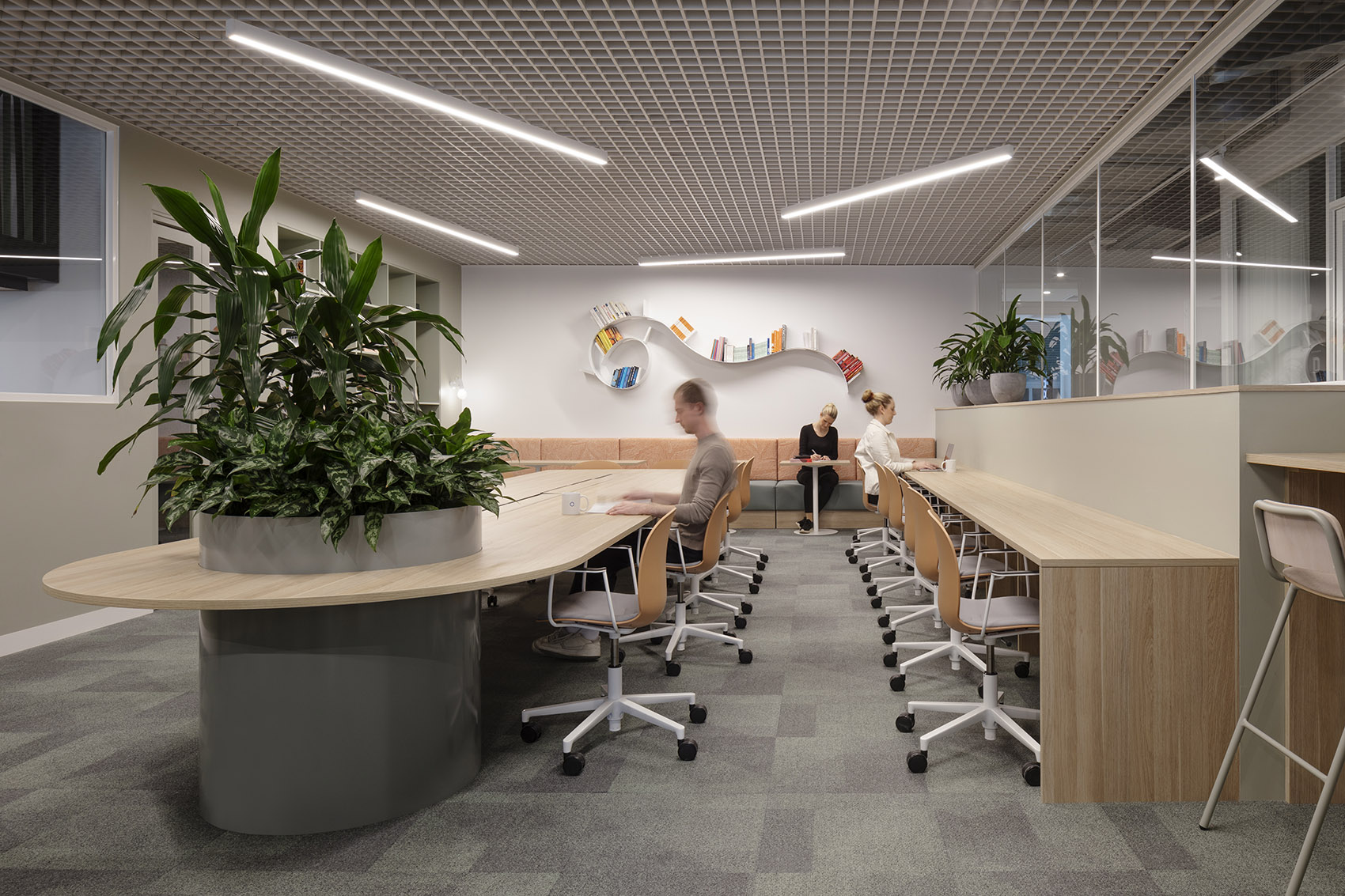 The Commons South Yarra共享办公空间丨澳大利亚墨尔本丨Foolscap Studio-13