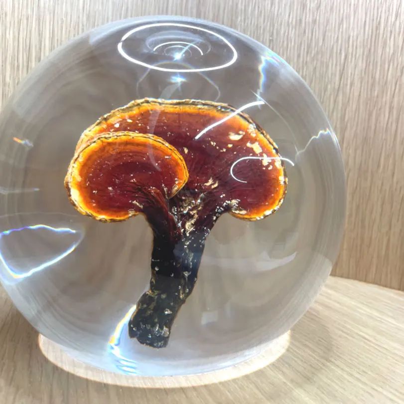 安利广州办公空间丨中国广州丨穆氏建筑设计-15