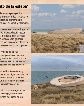 Captador de Viento en Estepa Penísula Váldes