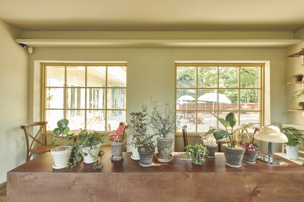 白色与木色，打造 30 平欧式田园居家空间-12