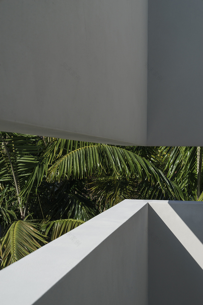 迈阿密拉丁风格住宅,融入传统元素的现代设计-47