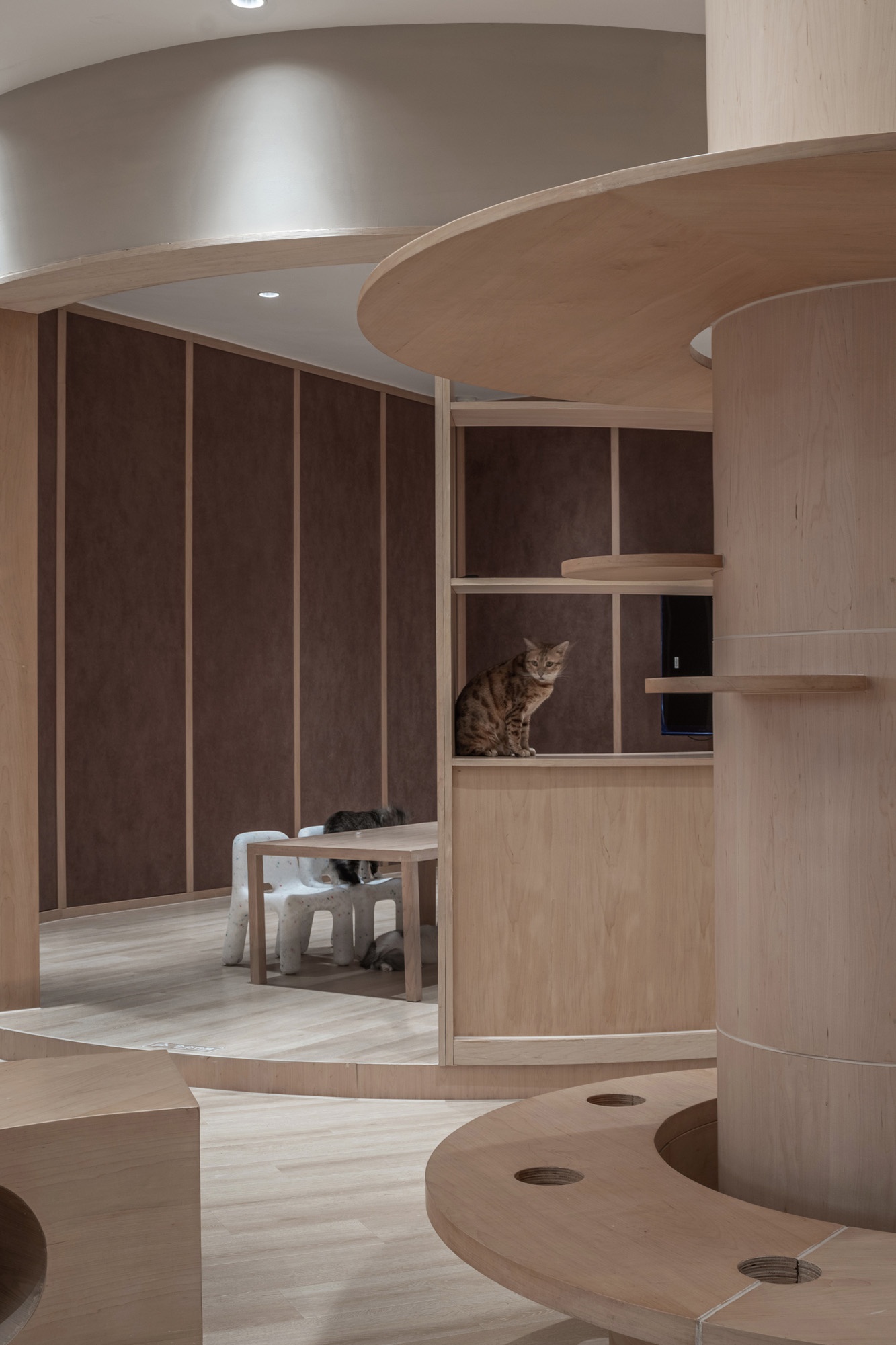 啵啵喵丨中国江苏丨无锡欧阳跳建筑设计有限公司-48