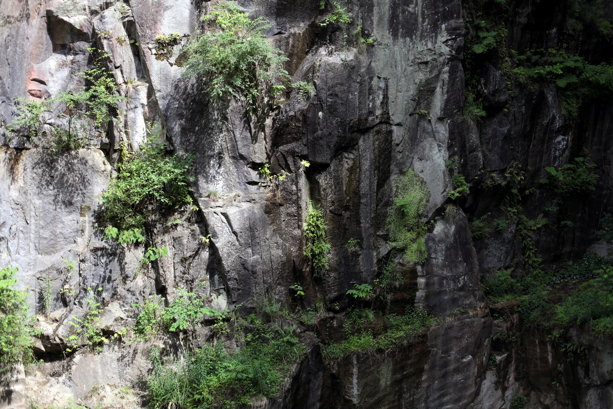 石头缝里的生机 · 大地之家的绿色创新设计-7