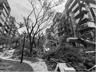 于热带秘境中编织生活美学|江东麓岛阅海澜岸2期花境项目-12