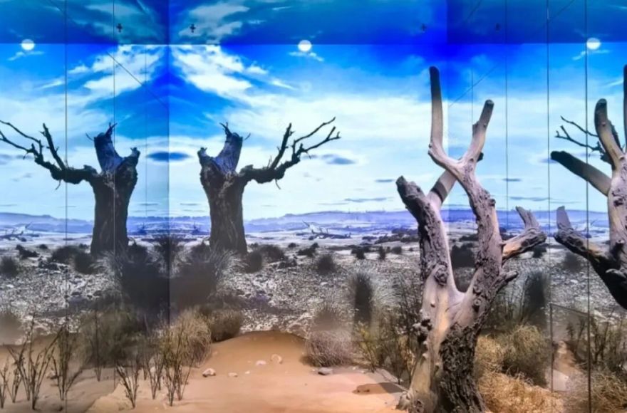 藏不住了!文旅+研学水洞沟让世界重新认识中国-7