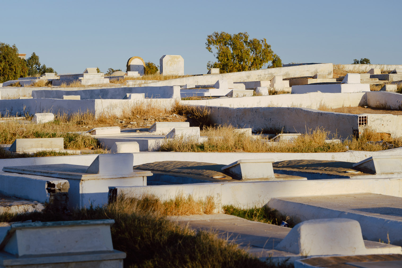 空谷传响（英文:Timeless Voices）丨比利时-74