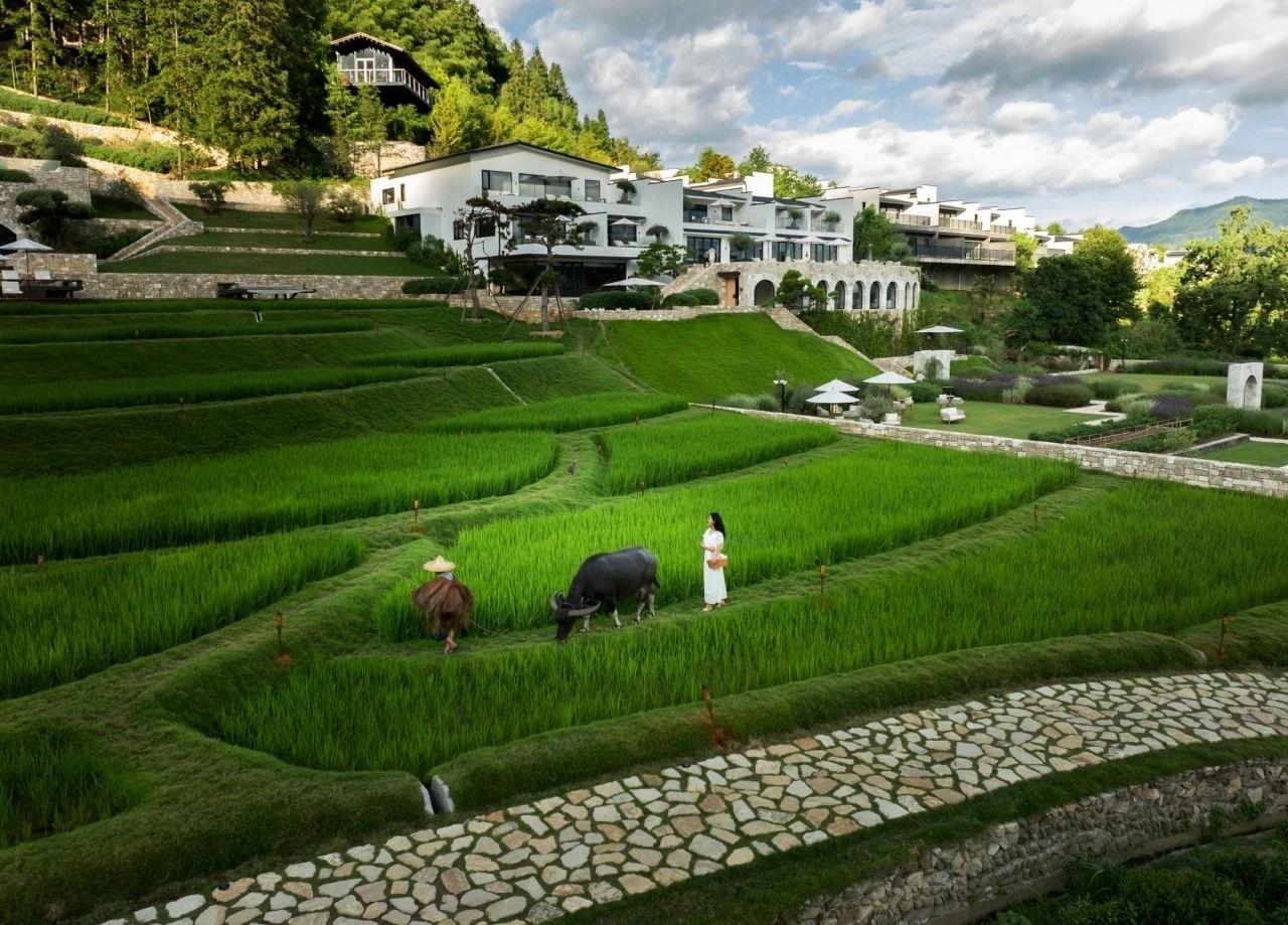 第六季度假庄园丨中国黄山丨S+P空间的诗学设计事务所-5