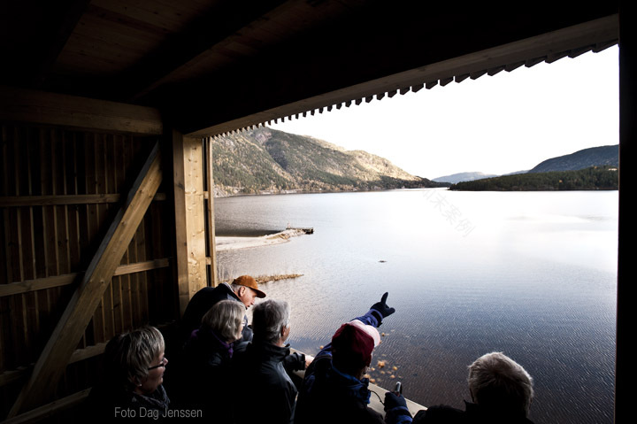 seljord lookout points-10