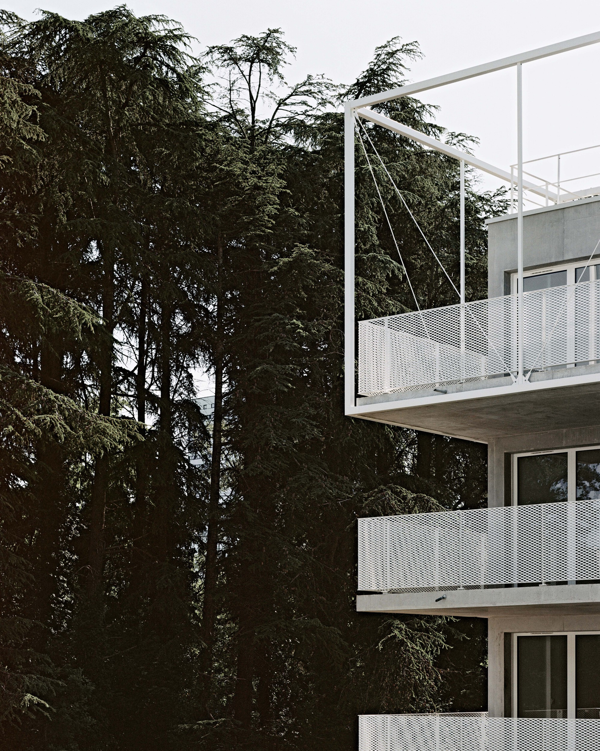 巴什住宅丨法国丨Philippe Dubus Architectes-27