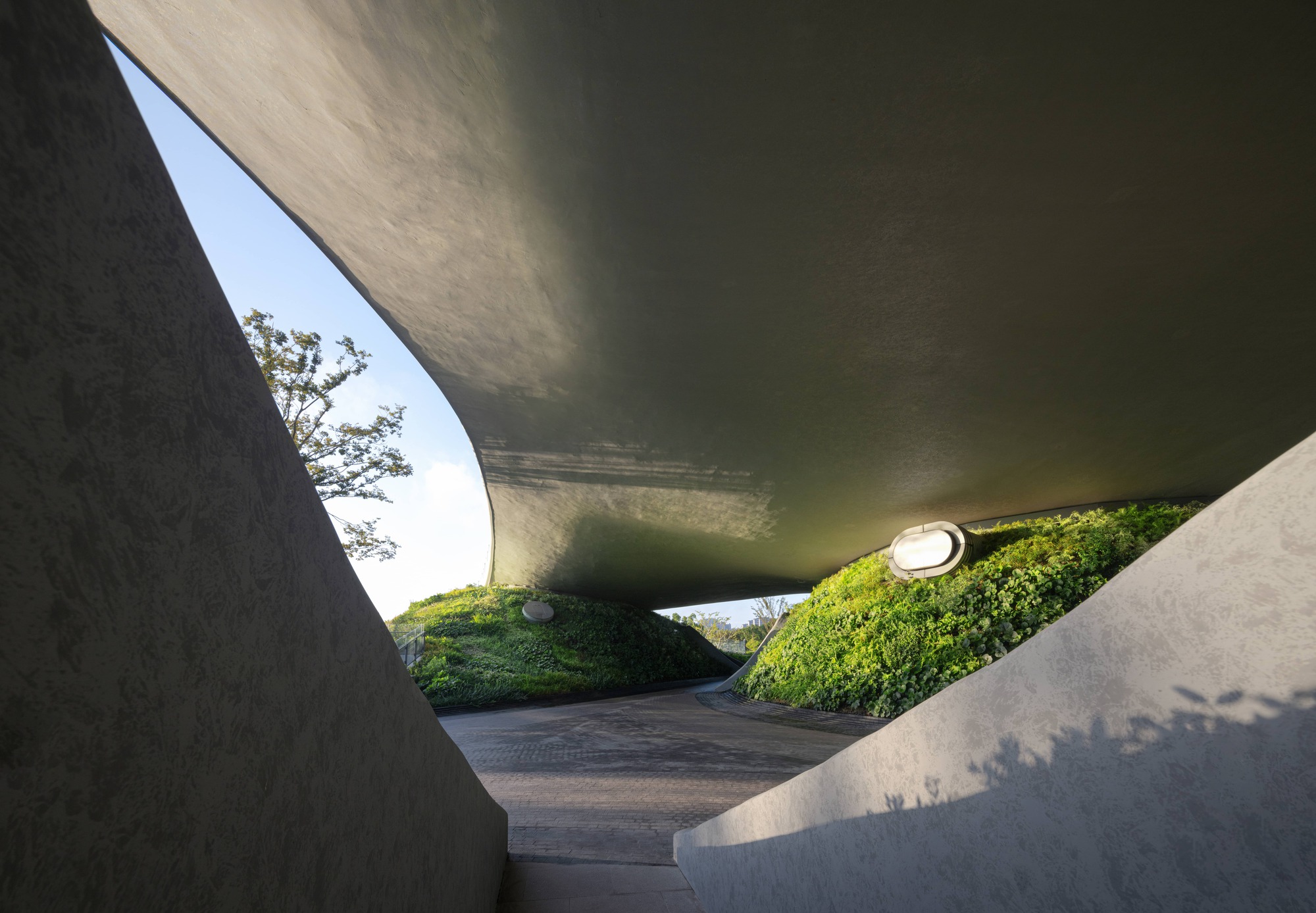 Wave Cube文化中心建筑丨中国上海丨Scenic Architecture Office-44