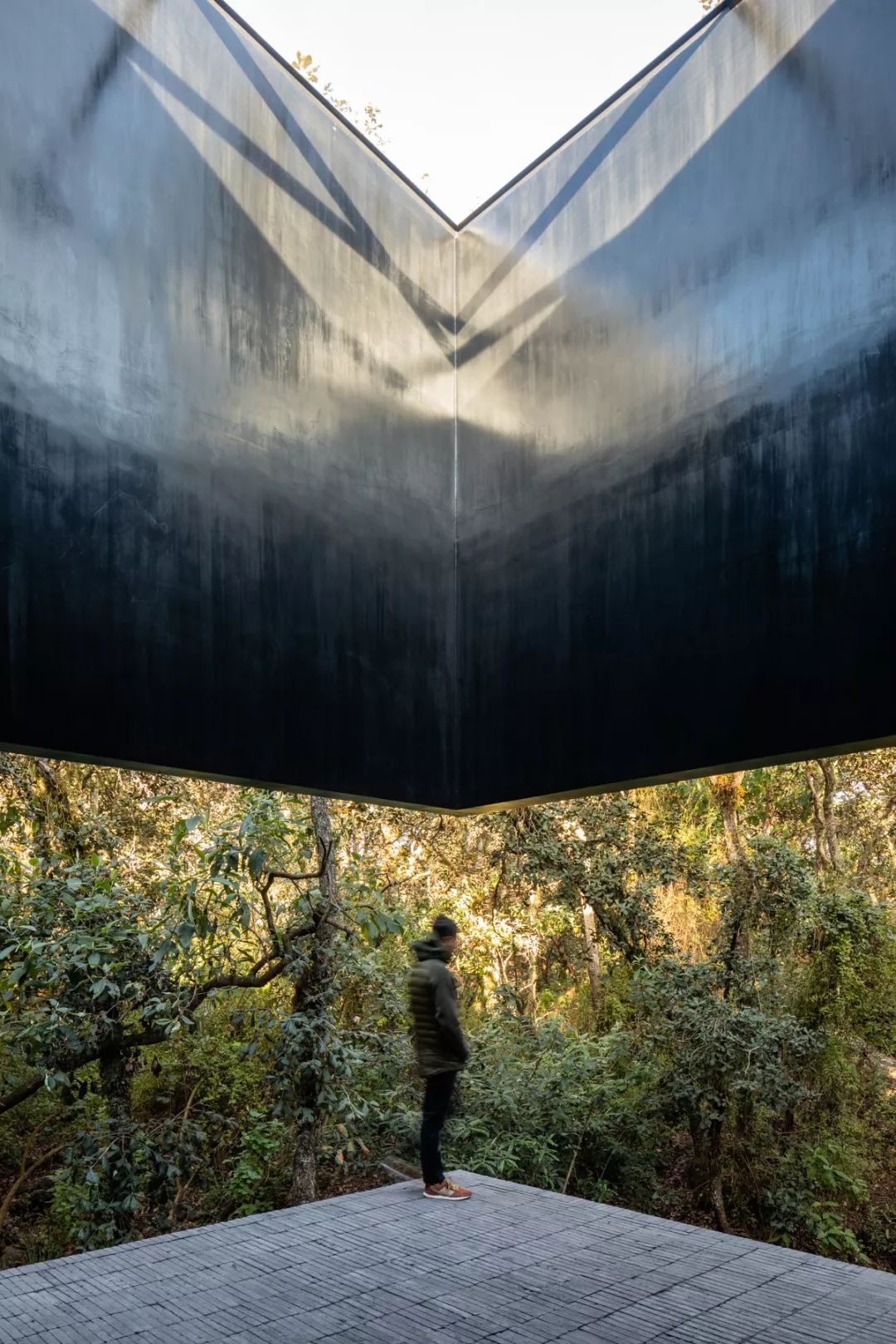 自然灵感,建筑生命——PPAA 的开放设计理念-13