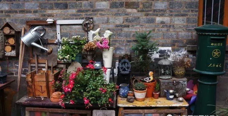 她花了4年，用月季，铁线莲，绣球把农村破败的小院打造成了花海，惊艳了时光-92