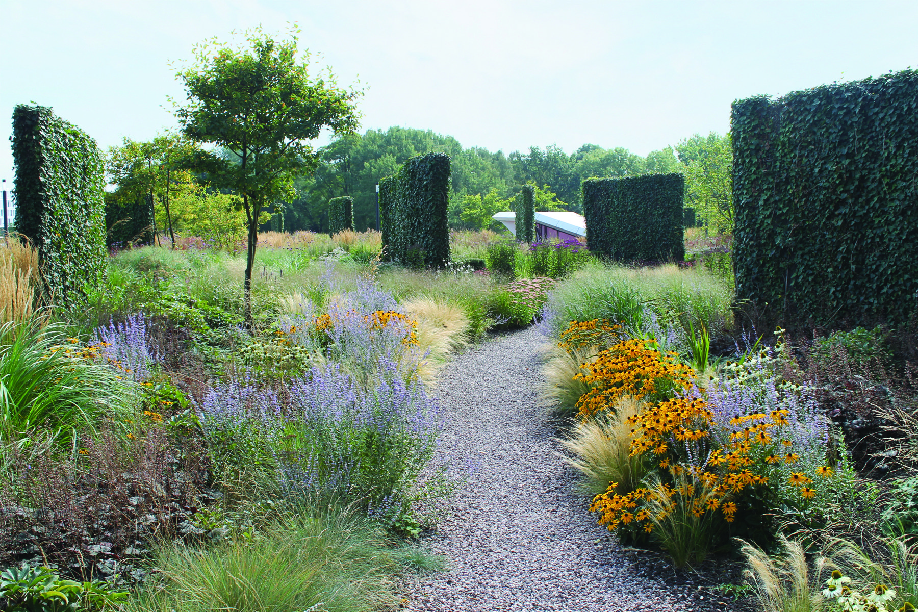 荷兰格罗宁根凯普肯斯堡城市花园-22