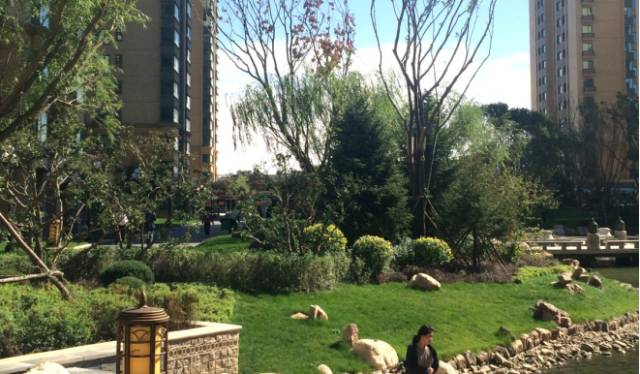 绿化设计中的地被放线手法与植物配置-106