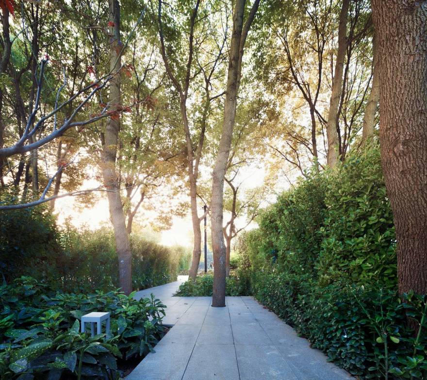 江苏绿城·常熟明月兰庭景观-11