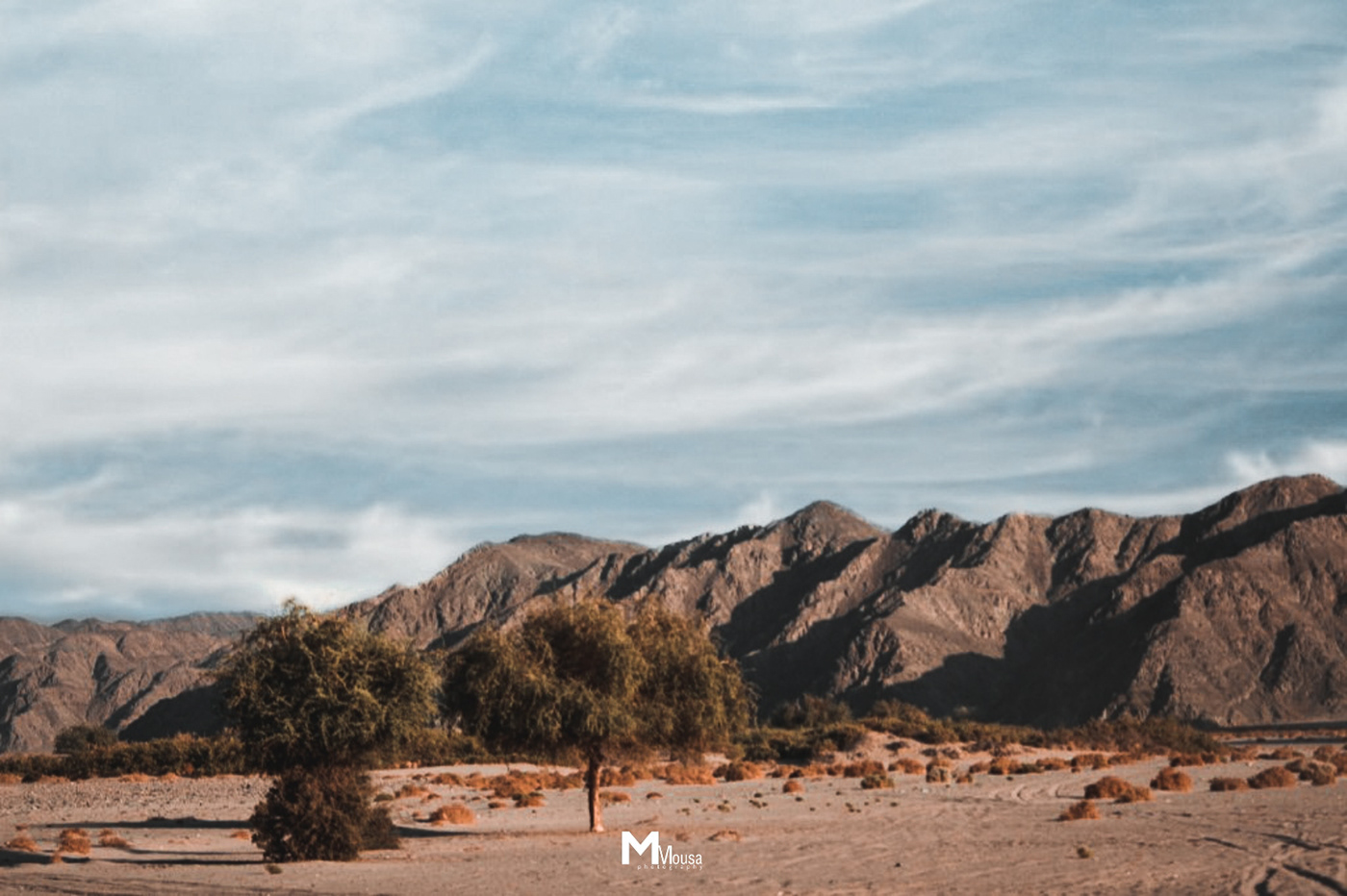 Nature in Wadi El Gemal Reserve-0