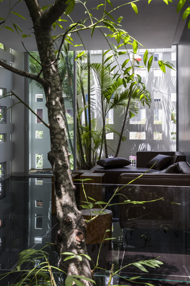 微风轻拂，光影共舞——自然之韵室内设计赏析-13