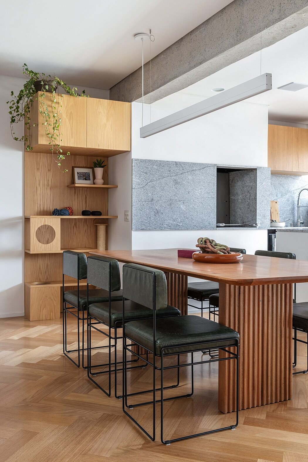 猫咪公寓丨巴西圣保罗丨Vic Calil Arquitetura-5